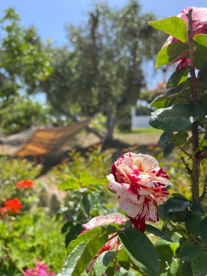 Вилла Antigone'S Garden Halikounas Экстерьер фото